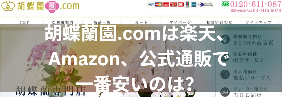 胡蝶蘭園.comは楽天、Amazon、公式通販で一番安いのは？