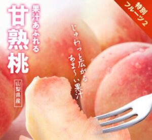 【2025年最安】Oisixの夏祭りセール限定16品セットの内容