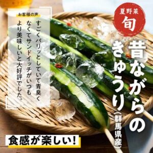 【2025年最安】Oisixの夏祭りセール限定16品セットの内容
