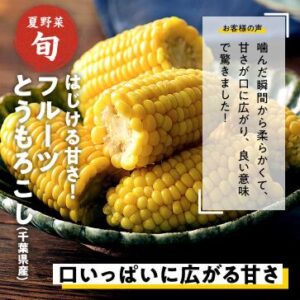 【2025年最安】Oisixの夏祭りセール限定16品セットの内容